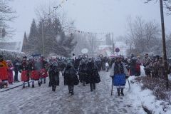 Umzug Grünkraut 2017