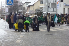 Gruenkraut13