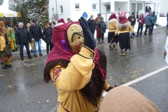 Gruenkraut30