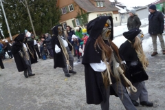 Gruenkraut017