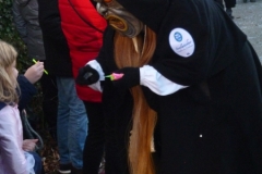 Hergensweiler012