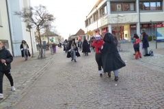 Langenargen030