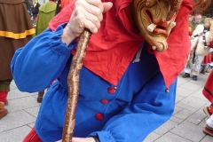 Ulm11