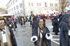 Ulm13