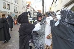 Ulm15