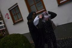 Umzug Ulm 2019