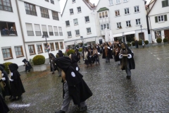 Ulm006