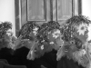 201103_iw_008