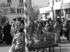 201103_iw_019