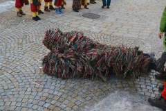 narrensprung-pfullendorf-019