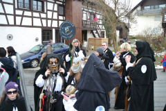 Umzug Büsingen 2013