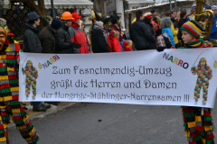 Umzug Stühlingen 2013