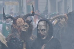 Umzug Pfullendorf 2014