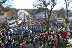 Umzug Schwerzen 2014