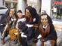 Umzug Kempten 2016