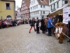 Umzug Pfullendorfl31