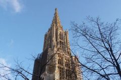 Umzug Ulm 2016