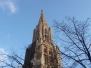 Umzug Ulm 2016